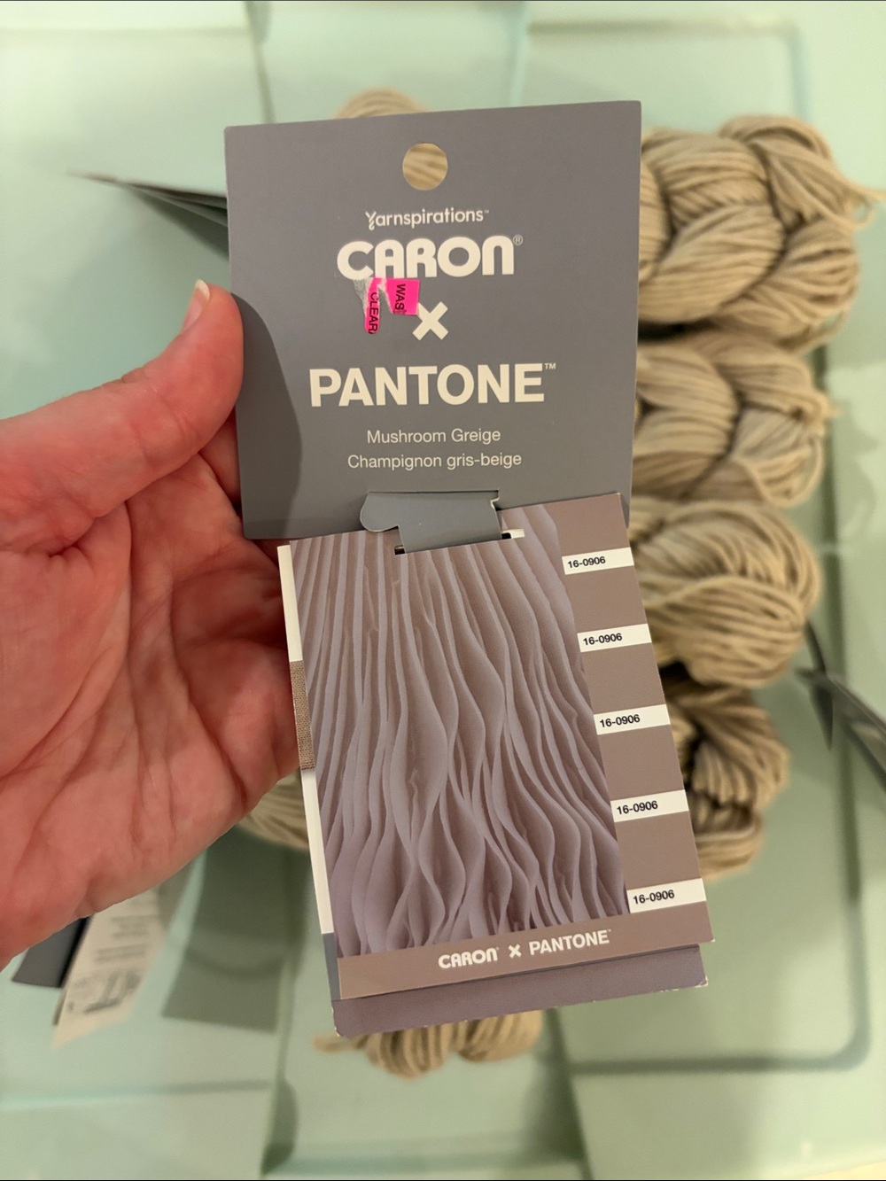 Caron x Pantone Yarn - Mushroom Greige - Picture 3 of 4